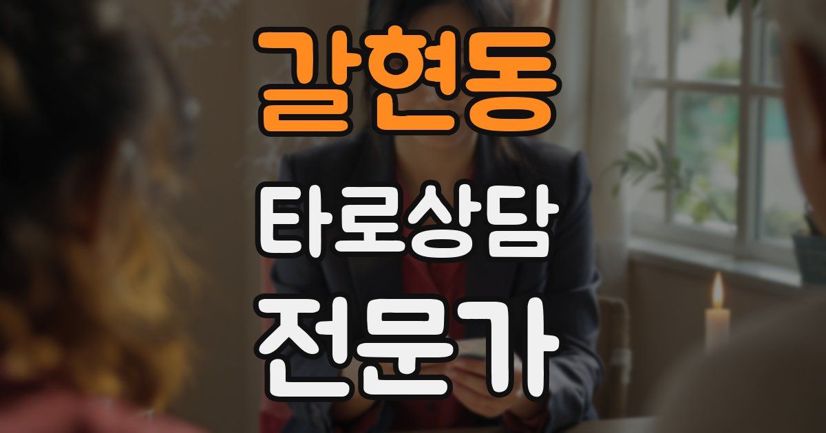 갈현동 타로상담전문가 자격증