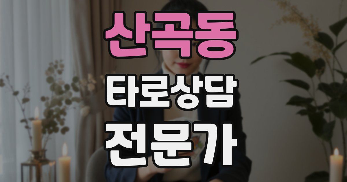 산곡동 타로상담전문가 자격증