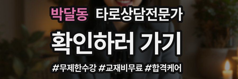 박달동 타로상담전문가 자격증