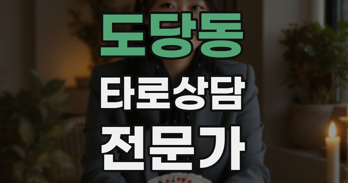 도당동 타로상담전문가 자격증
