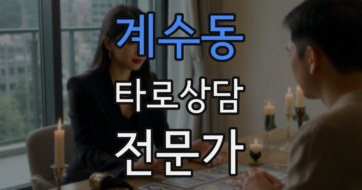 계수동 타로상담전문가 자격증
