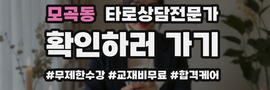 모곡동 타로상담전문가 자격증
