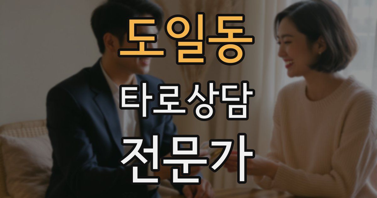 도일동 타로상담전문가 자격증