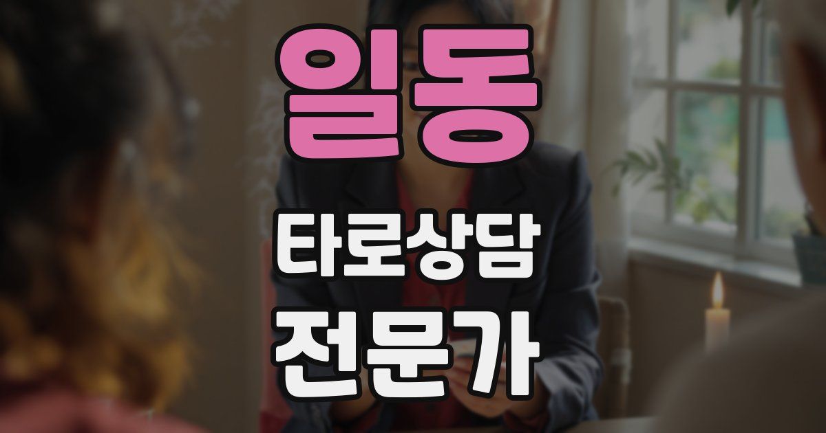 일동 타로상담전문가 자격증