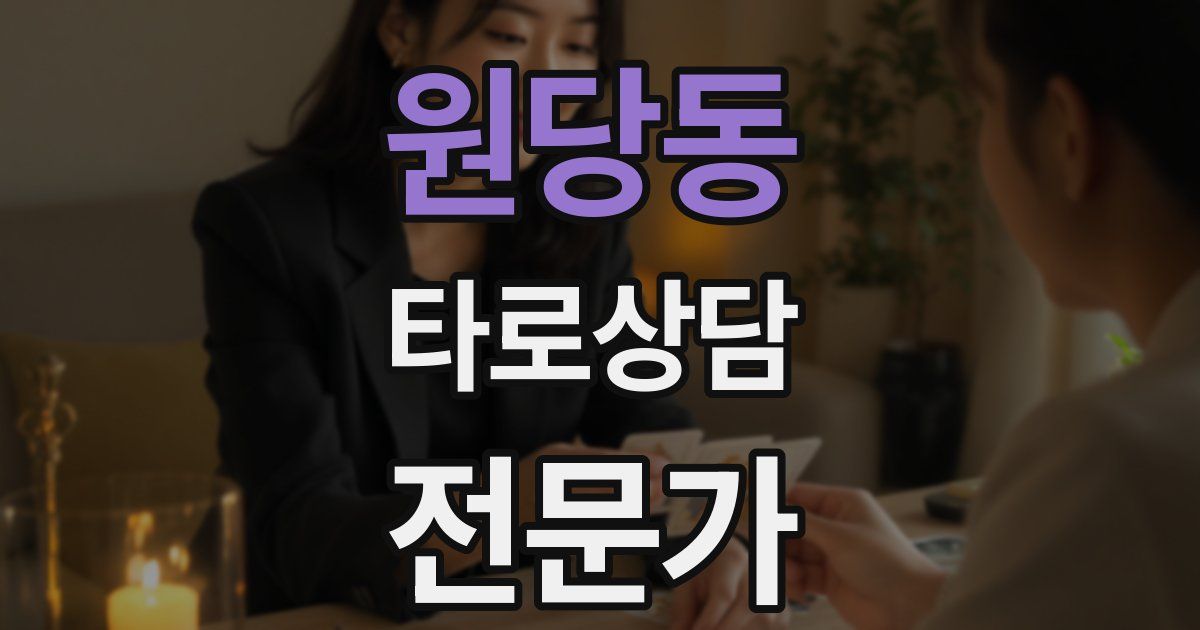 원당동 타로상담전문가 자격증