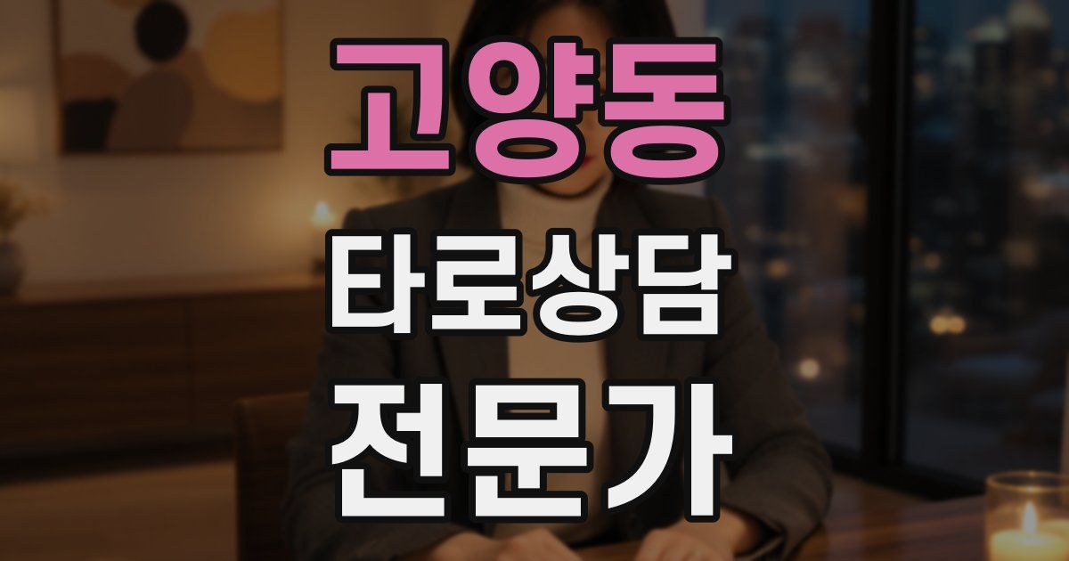 고양동 타로상담전문가 자격증