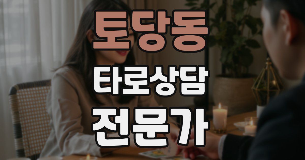 토당동 타로상담전문가 자격증