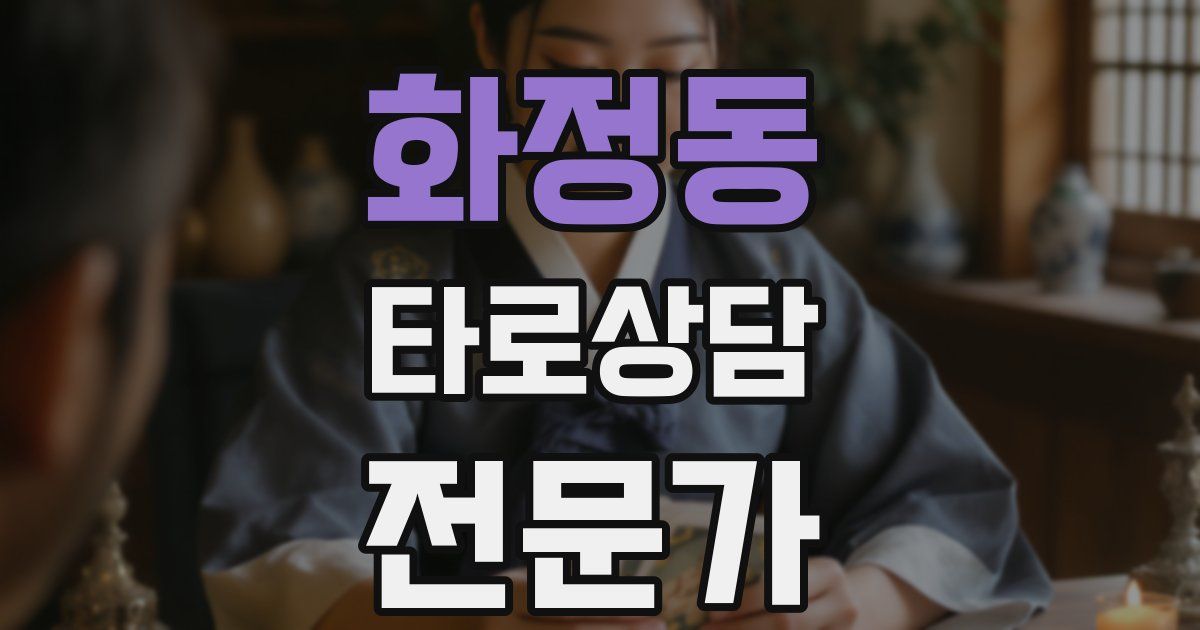 화정동 타로상담전문가 자격증