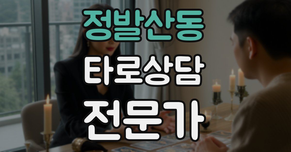 정발산동 타로상담전문가 자격증