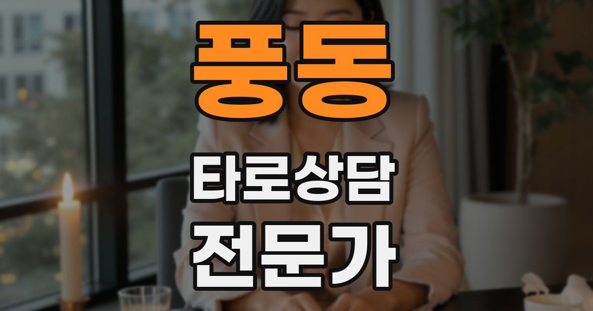 풍동 타로상담전문가 자격증