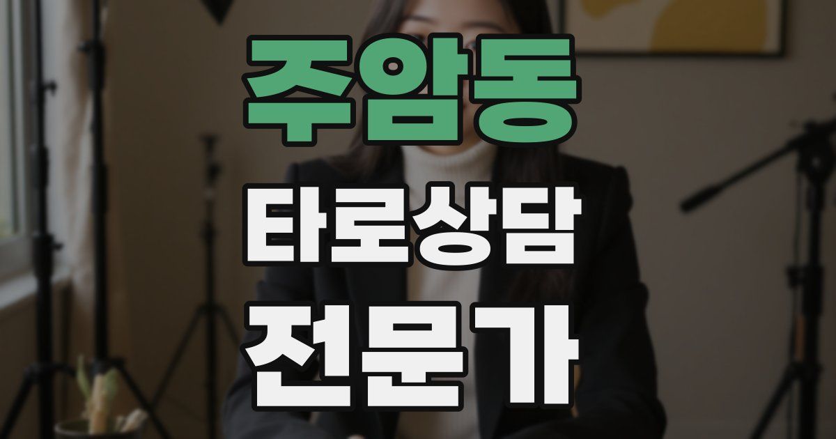 주암동 타로상담전문가 자격증