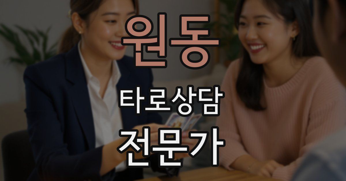 원동 타로상담전문가 자격증