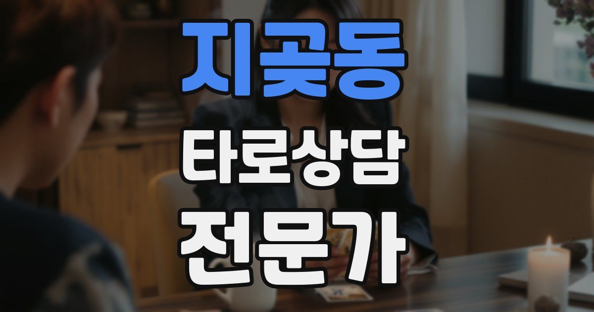 지곶동 타로상담전문가 자격증