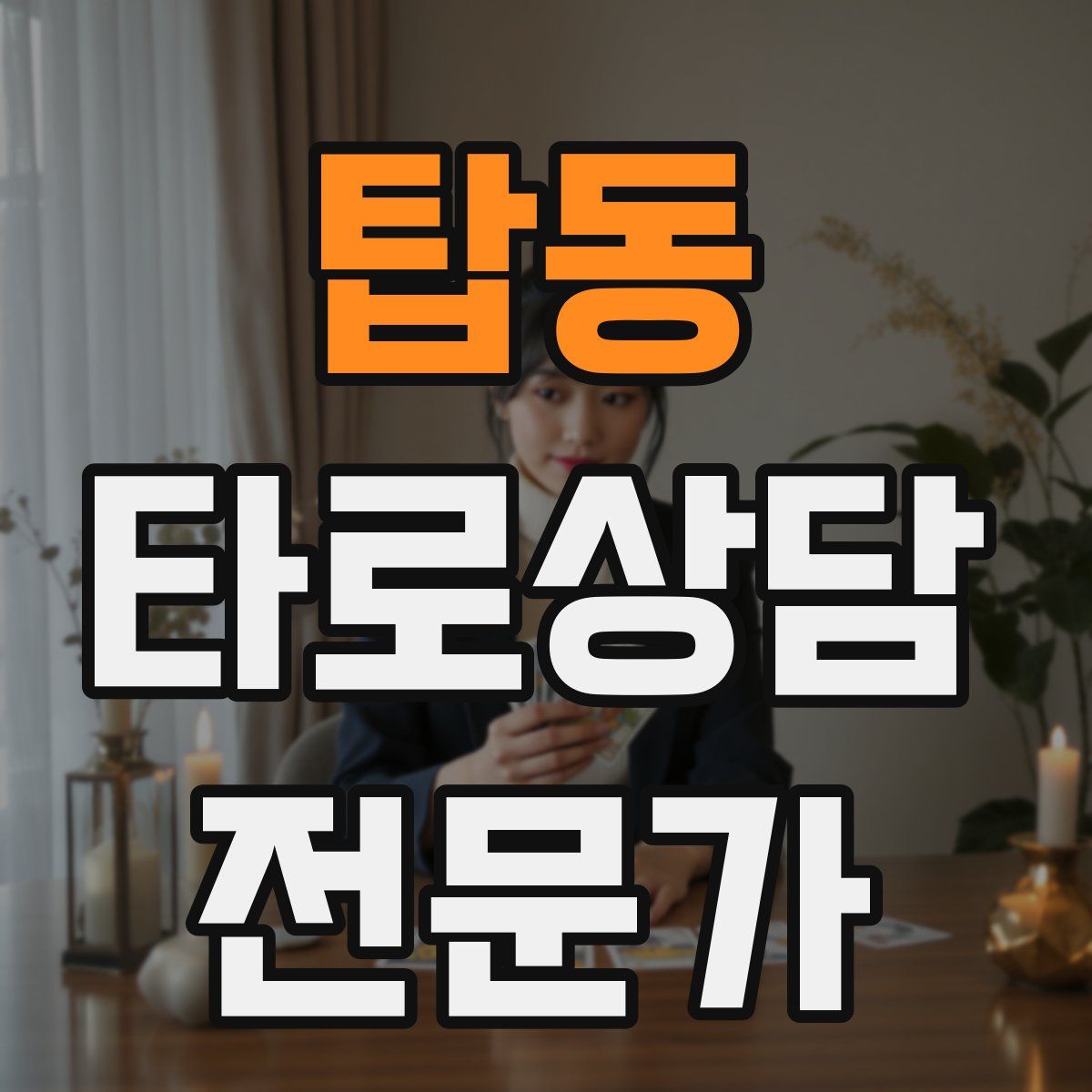 탑동 타로상담전문가 자격증