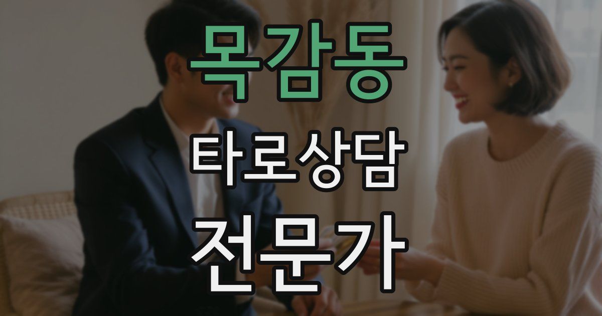 목감동 타로상담전문가 자격증