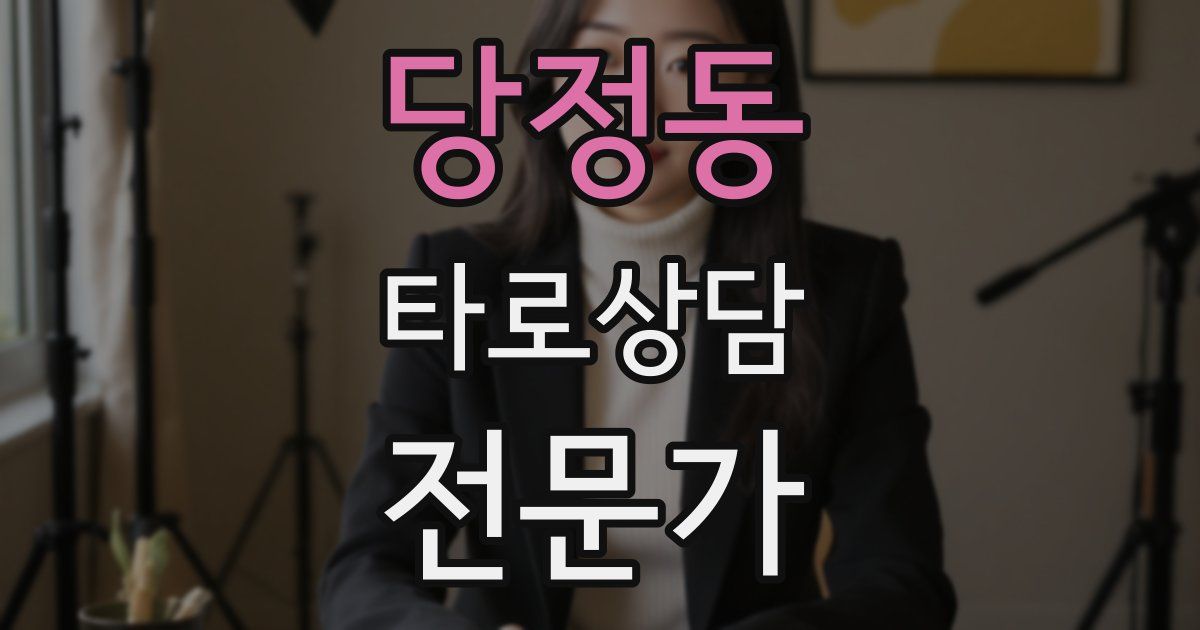 당정동 타로상담전문가 자격증