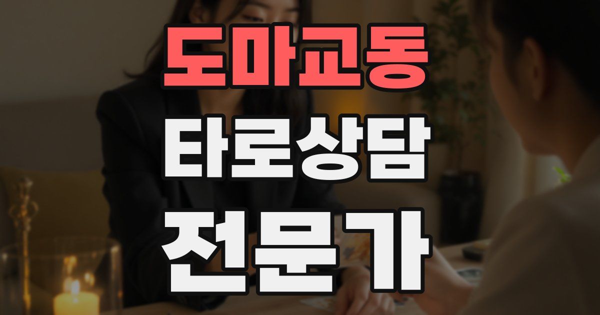 도마교동 타로상담전문가 자격증