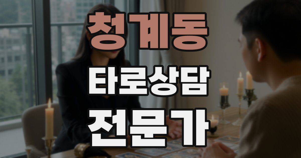 청계동 타로상담전문가 자격증