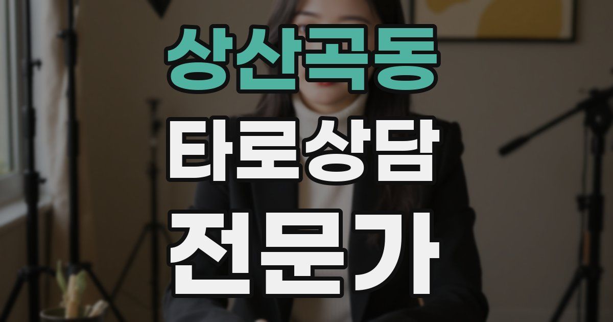 상산곡동 타로상담전문가 자격증