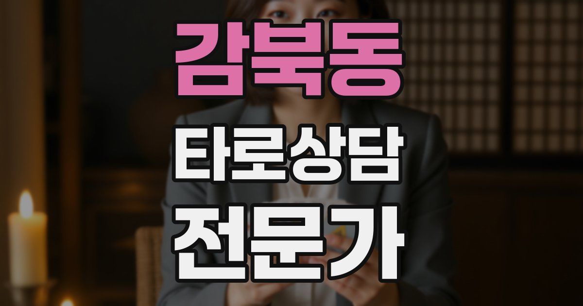 감북동 타로상담전문가 자격증
