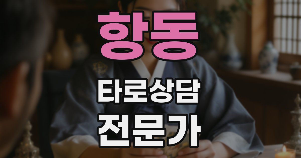 항동 타로상담전문가 자격증