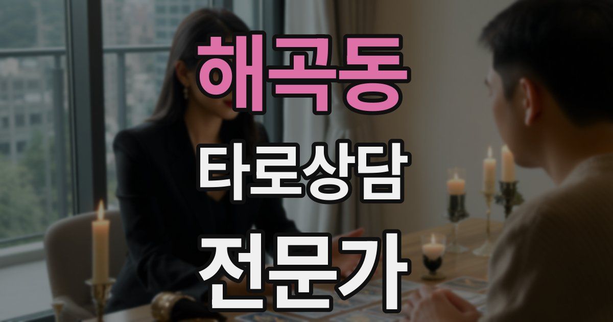 해곡동 타로상담전문가 자격증