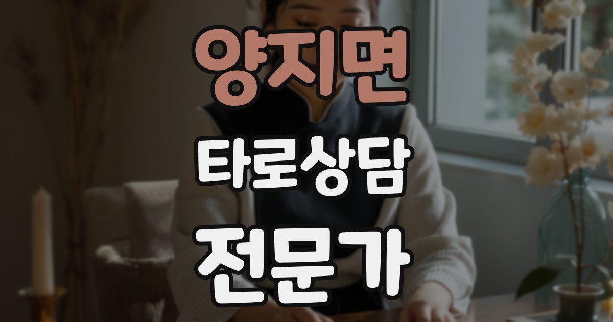 양지면 타로상담전문가 자격증