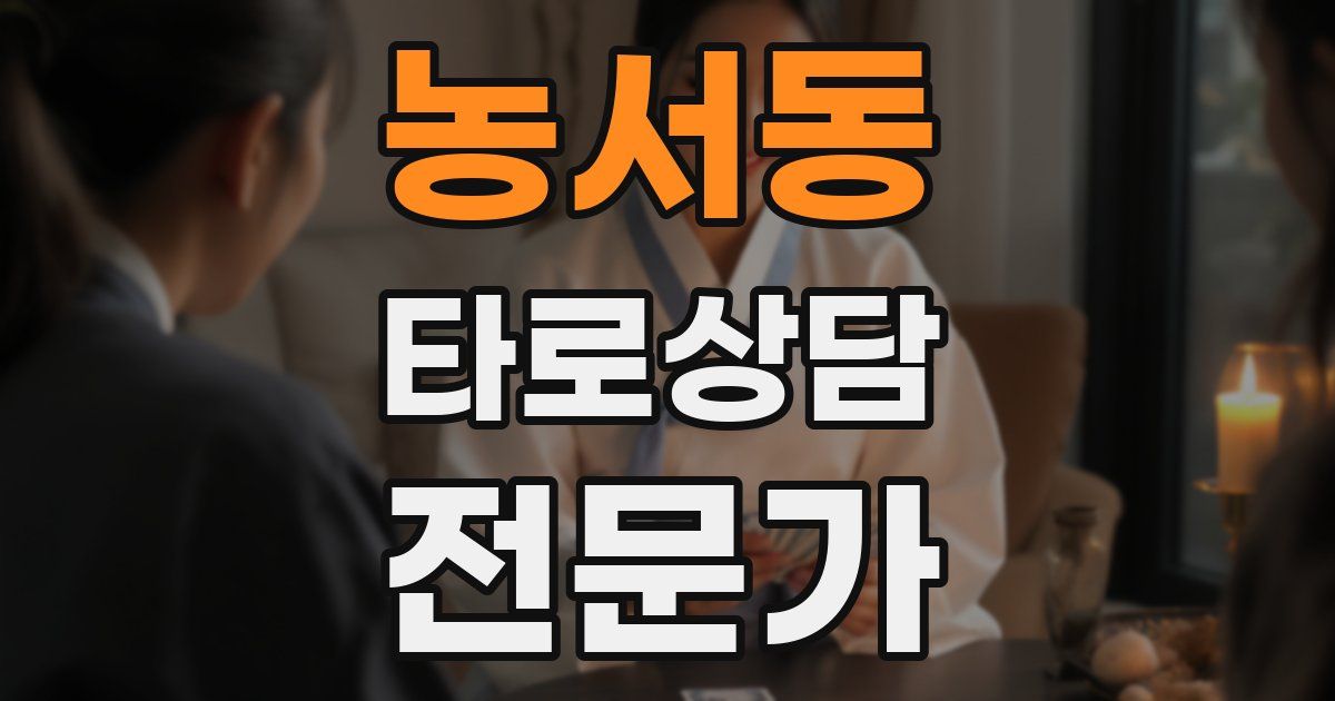 농서동 타로상담전문가 자격증