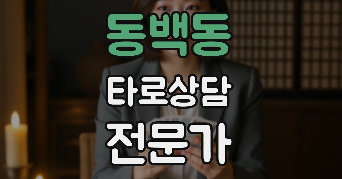 동백동 타로상담전문가 자격증