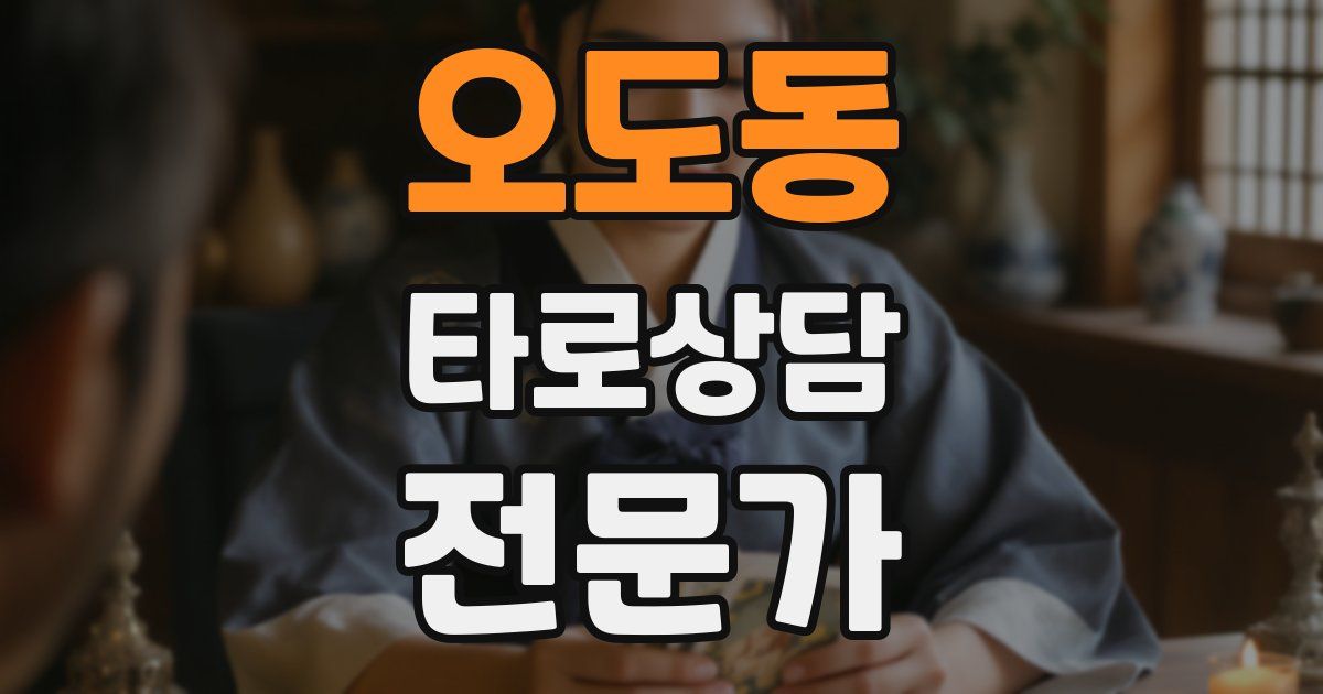 오도동 타로상담전문가 자격증