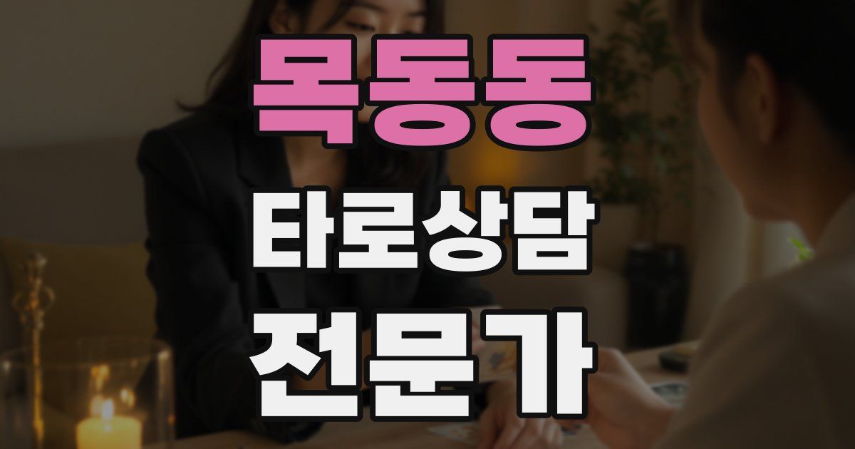 목동동 타로상담전문가 자격증