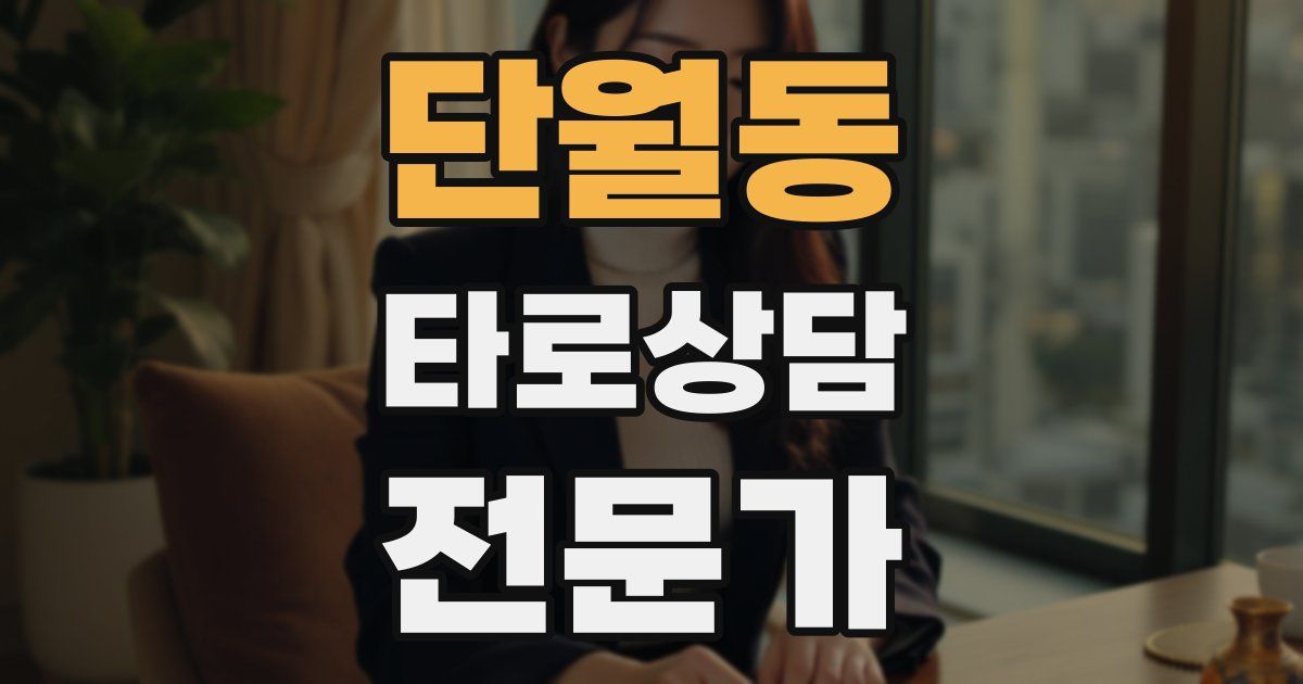 단월동 타로상담전문가 자격증