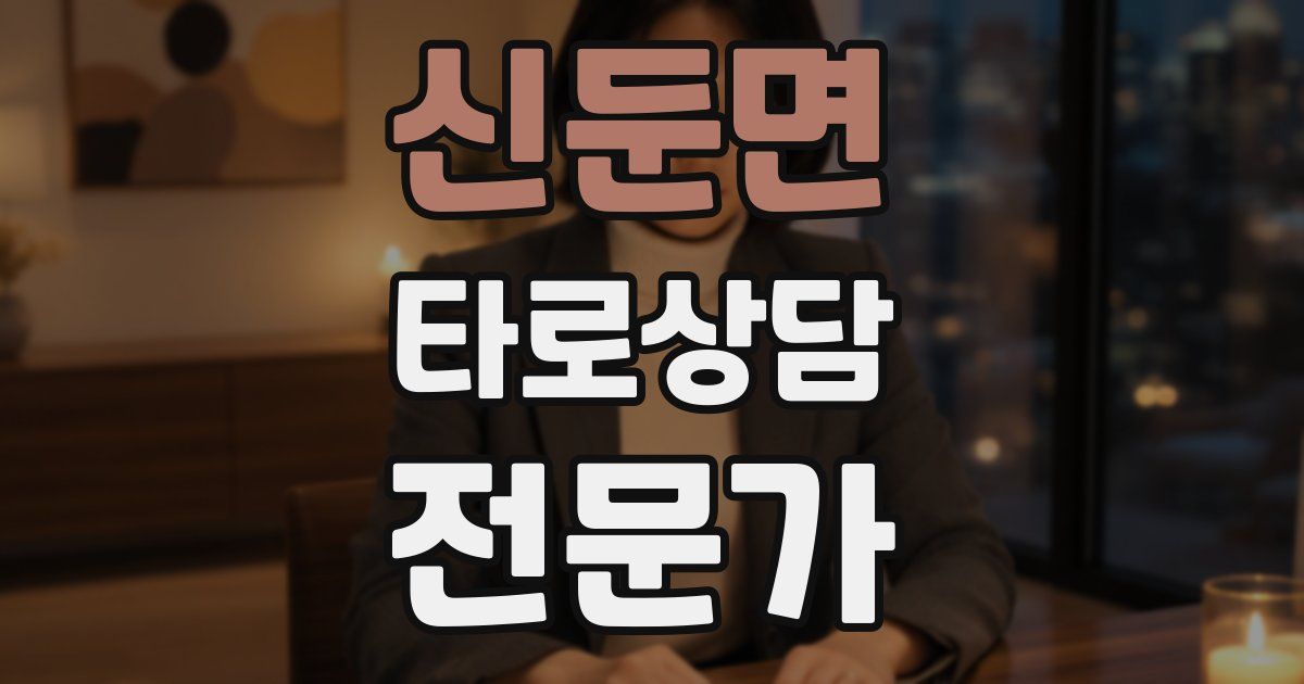 신둔면 타로상담전문가 자격증