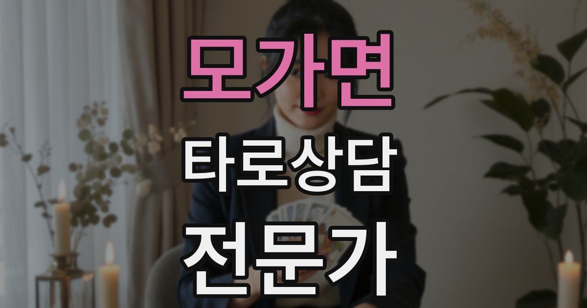 모가면 타로상담전문가 자격증