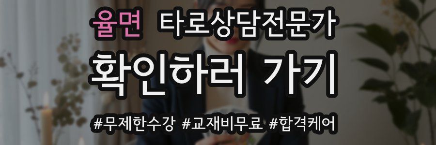 율면 타로상담전문가 자격증