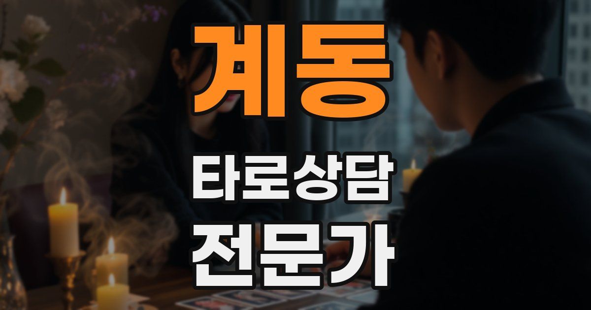 계동 타로상담전문가 자격증