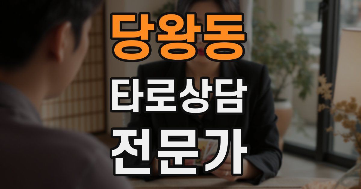 당왕동 타로상담전문가 자격증