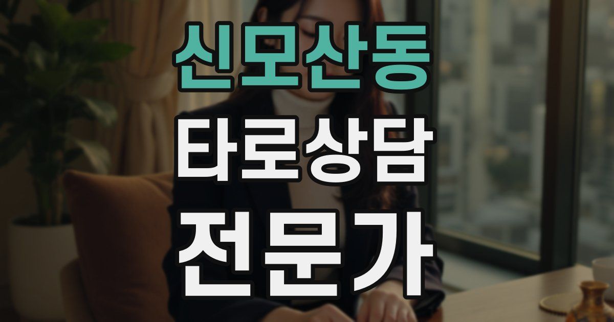 신모산동 타로상담전문가 자격증