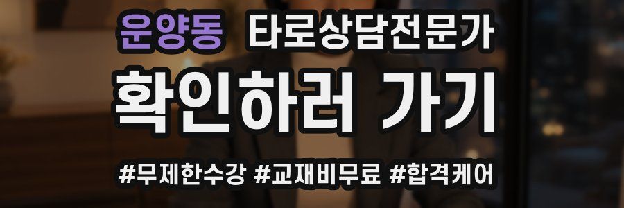 운양동 타로상담전문가 자격증