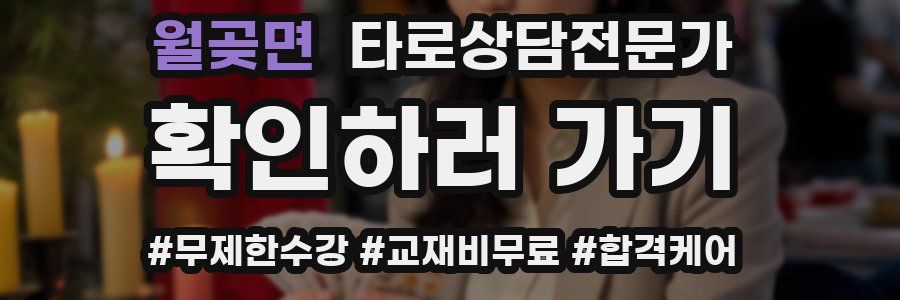 월곶면 타로상담전문가 자격증