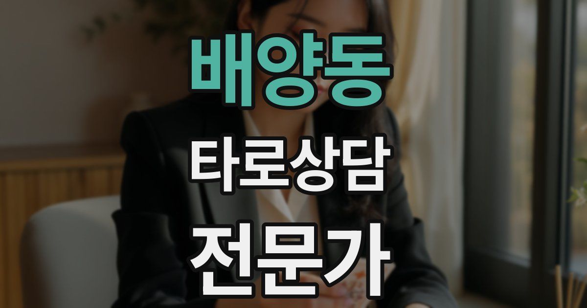 배양동 타로상담전문가 자격증
