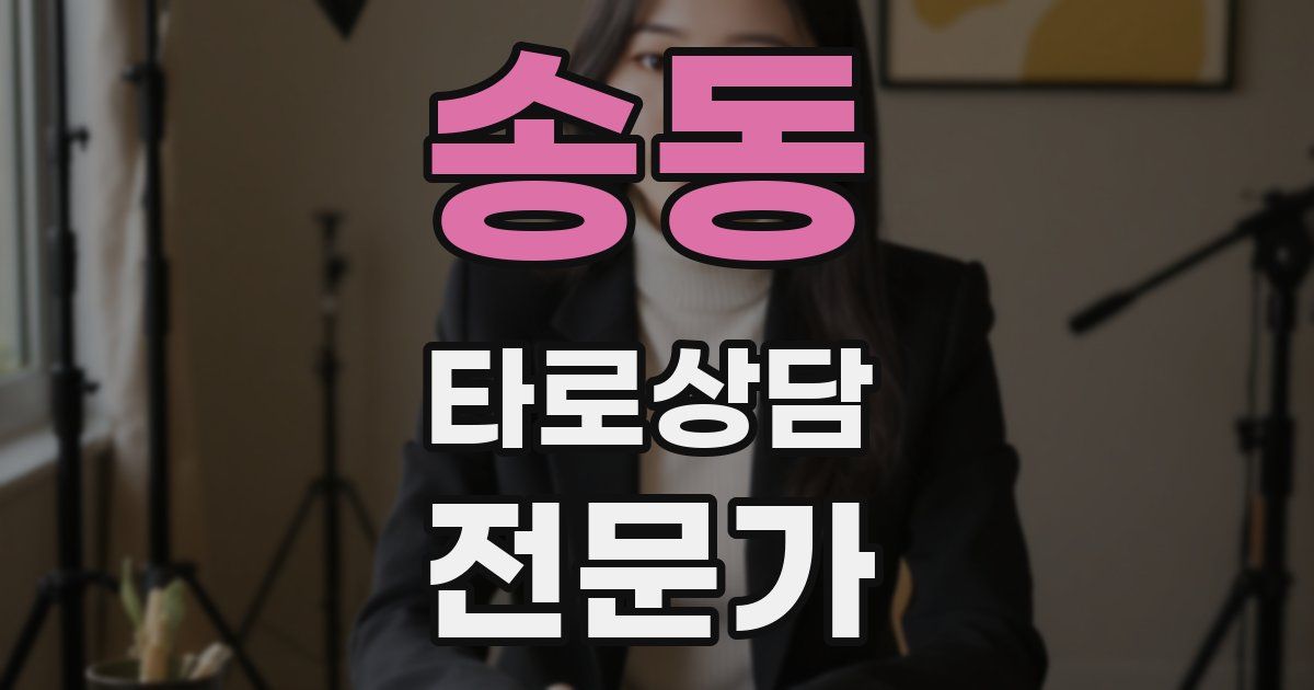 송동 타로상담전문가 자격증