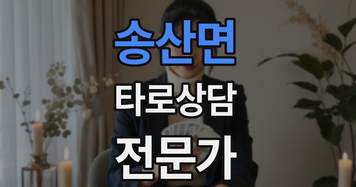 송산면 타로상담전문가 자격증