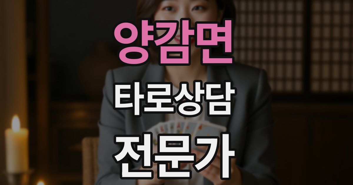 양감면 타로상담전문가 자격증