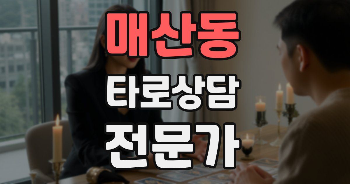 매산동 타로상담전문가 자격증