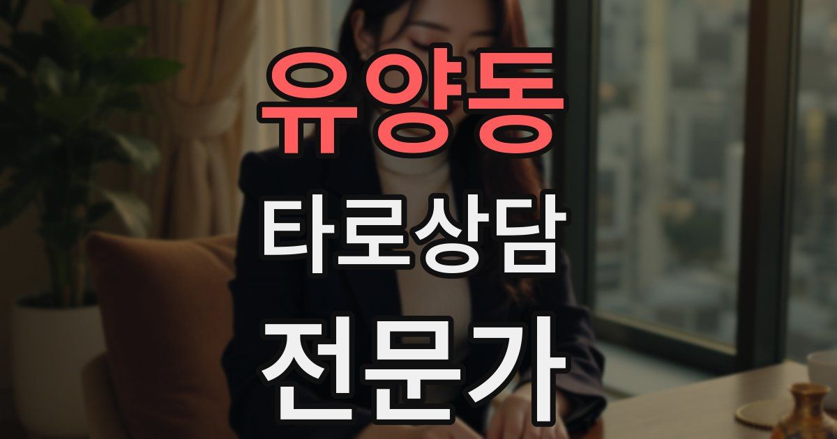 유양동 타로상담전문가 자격증