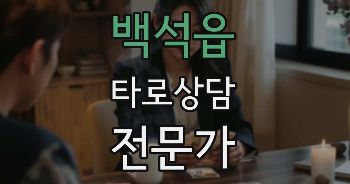 백석읍 타로상담전문가 자격증
