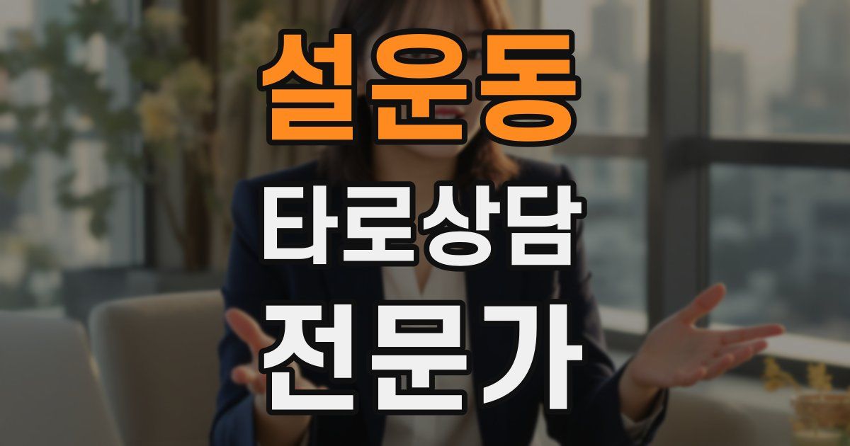 설운동 타로상담전문가 자격증
