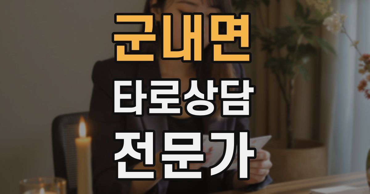 군내면 타로상담전문가 자격증
