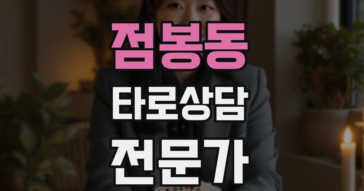 점봉동 타로상담전문가 자격증